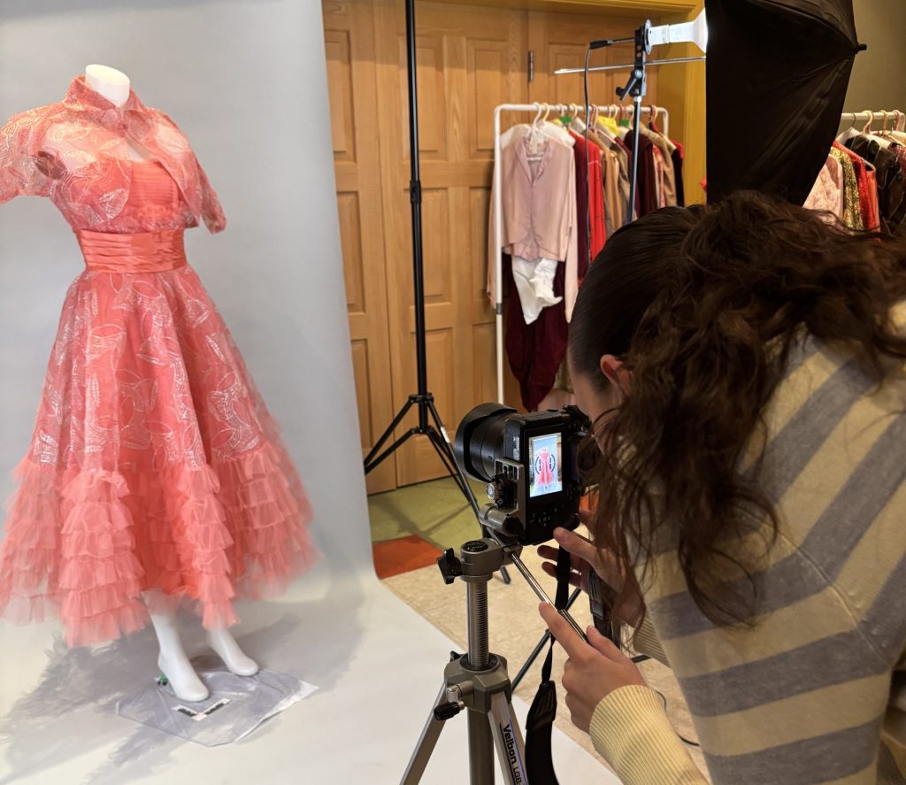 Person photographs a pink dress.